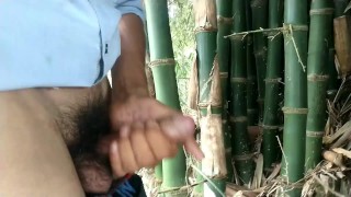 Indian boy cumming on bambooHandjob Cumshot