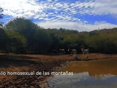 Karil  Caballo homosexual de las montantildeas VIDEO no OFIC