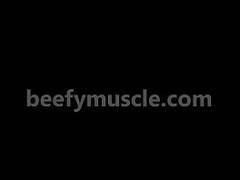 beefymuscle.com  Mindblowing muscle bull flexing