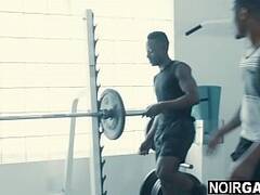 Two black gays fuck white guy in the gym   gay threesome sex