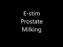 Estim estim electro prostate sperm cum load milking