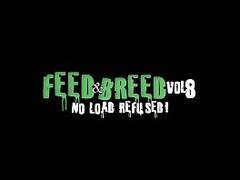Feed amp Breed 8 No Load Refused  Dingo Dawson and Tino Daws