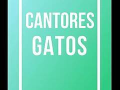 TOP5  Cantores Gatos