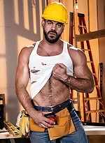 Raging stallion